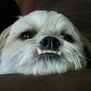 Meet your Posher, Jeff